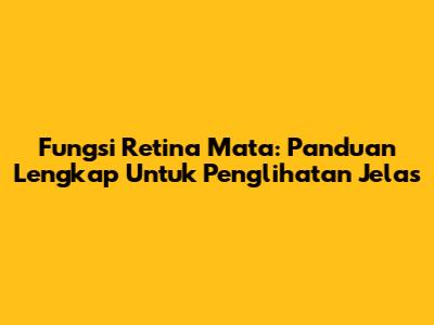 Fungsi Retina Mata: Panduan Lengkap Untuk Penglihatan Jelas